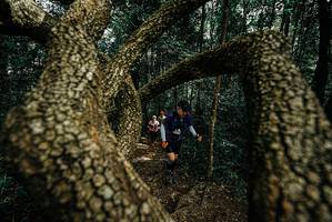 BIB: 
                            <button type="button" onclick="openModal(25701745)" class="btn btn-primary btn-sm float-right btn-popup" data-toggle="modal" data-target=".modal-high-quality">
                        <i class="fas fa-shopping-cart"></i> Add to Cart
                    </button>
                                            <button type="button" onclick="isThisMe(25701745, true)" class="btn btn-success btn-sm float-right btn-popup btn-isme hidden" data-toggle="tooltip" data-placement="bottom" title="นี่คือรูปของคุณใช่ไหม คลิกที่นี่เพื่อเอาเข้าอัลบั้ม">
                        <i class="fas fa-plus"></i> Add to album
                    </button>
                    <button type="button" onclick="isThisMe(25701745, false)" class="btn btn-warning btn-sm float-right btn-popup btn-isnotme hidden">
                        <i class="fas fa-ban"></i> Remove from album
                    </button>